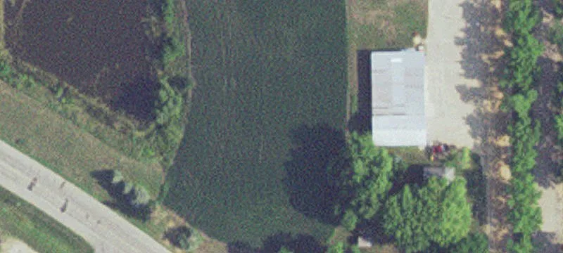 Mapleton, MN 56065