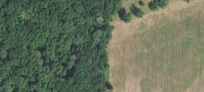 Randall, MN 56475