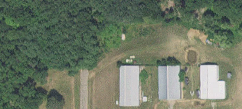 Cushing, MN 56443