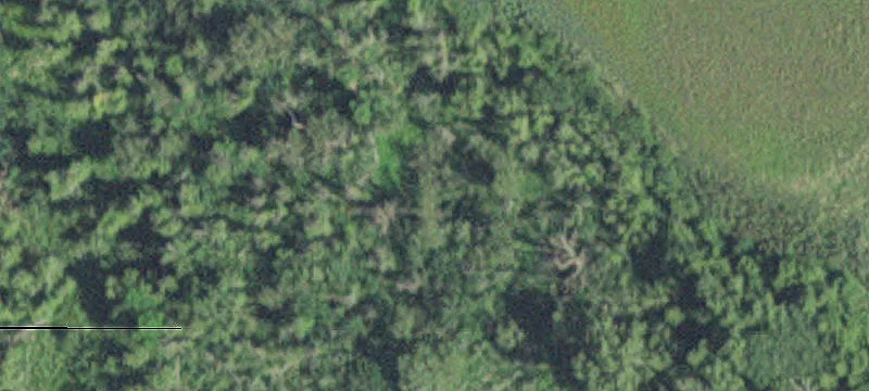 Chatfield, MN 55923