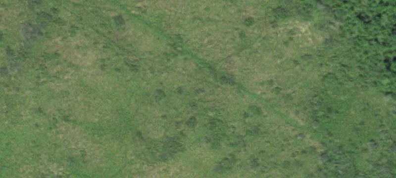 Rice, MN 56367