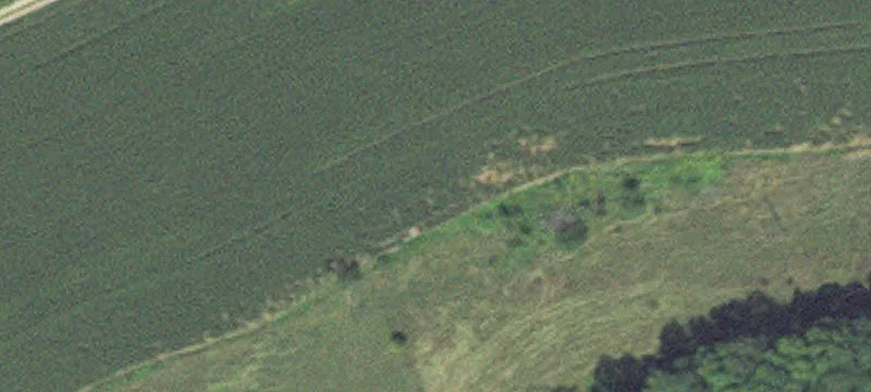 Caledonia, MN 55921