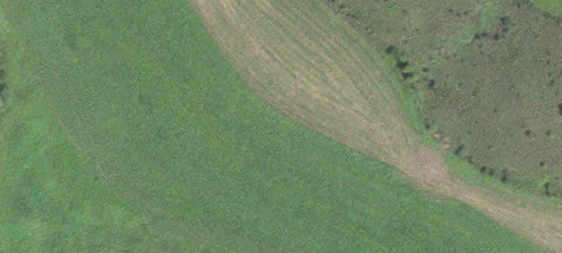 Caledonia, MN 55921