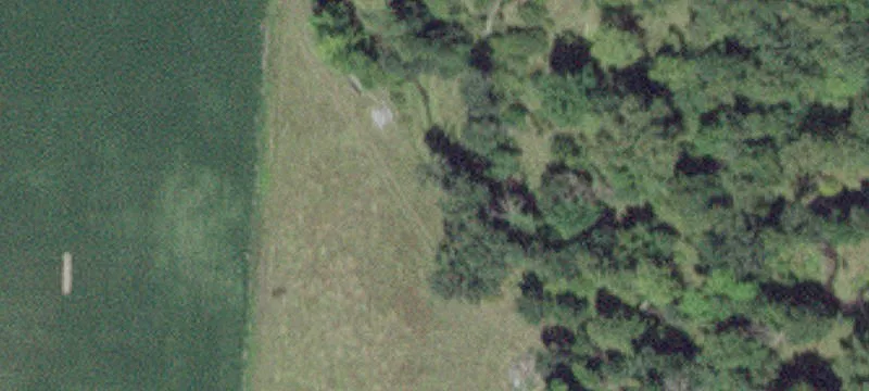 Racine, MN 55967