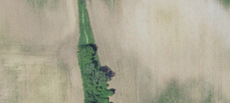 Watkins, MN 55389