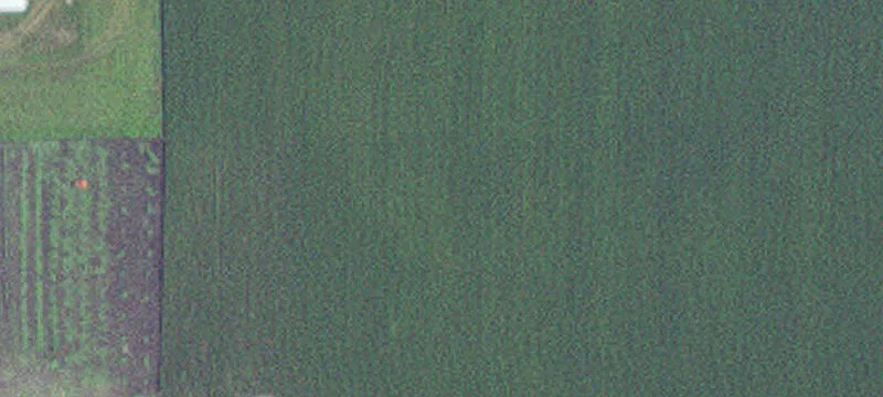 Mapleton, MN 56065