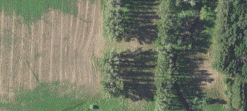 21845 Hwy 27
