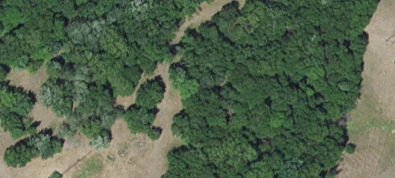 Little Falls, MN 56345