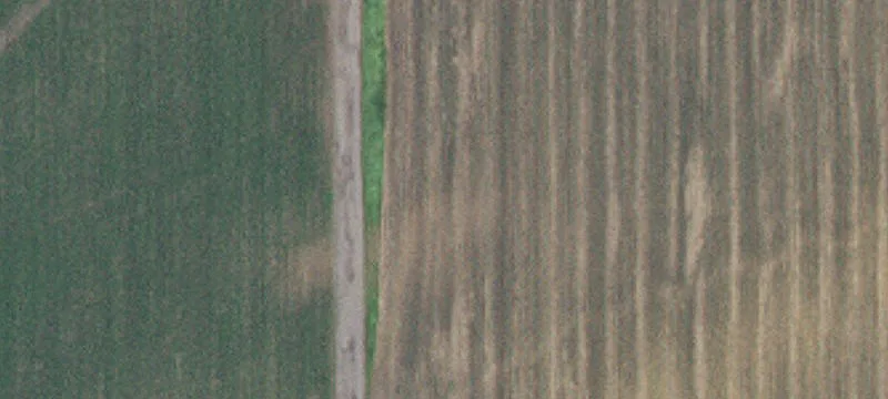 Hampton, MN 55031