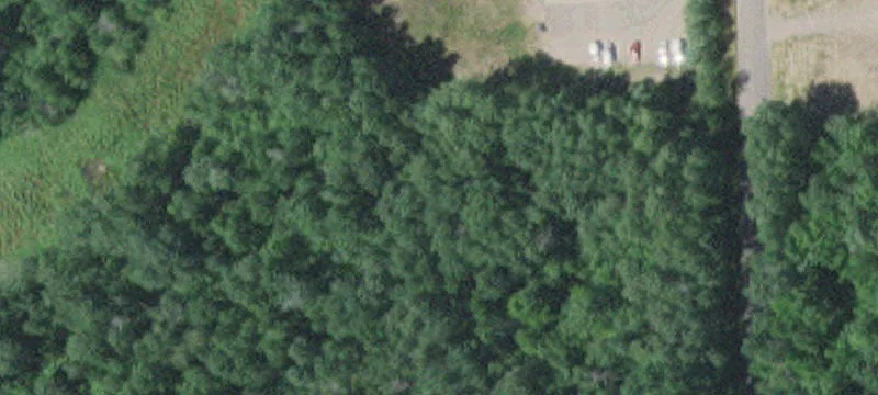 Little Falls, MN 56345