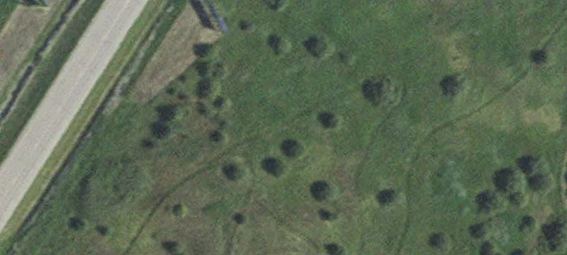 Badger, MN 56714