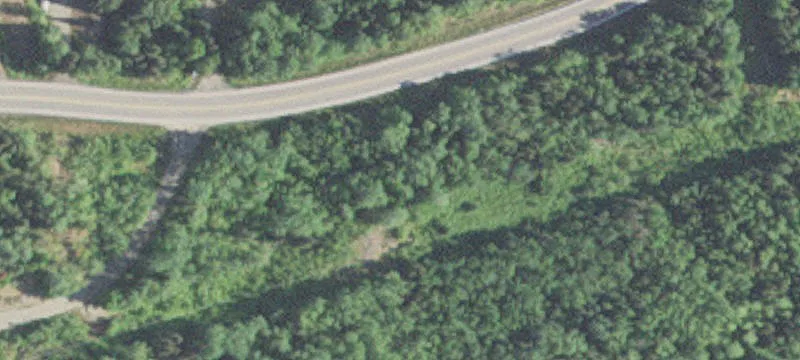 Ely, MN 55731