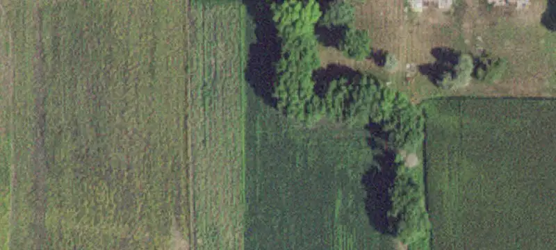 Amboy, MN 56010