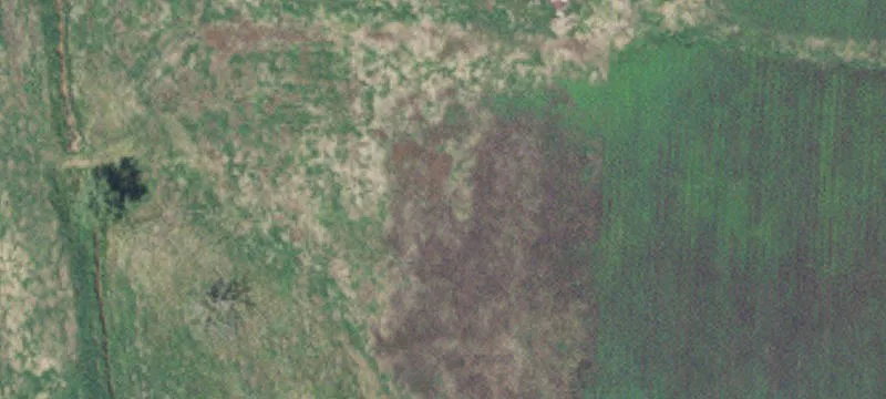 Zimmerman, MN 55398