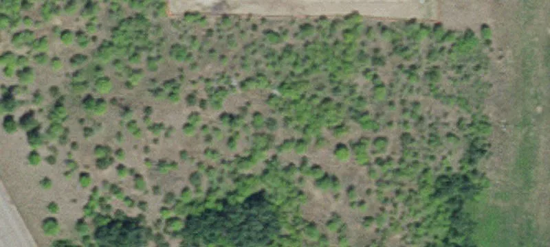 Cedar, MN 55011