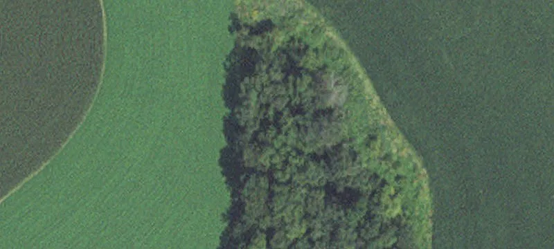 Caledonia, MN 55921