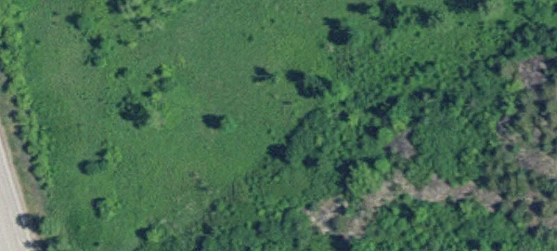 Morton, MN 56270