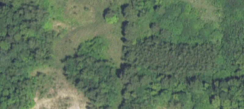 Madison Lake, MN 56063