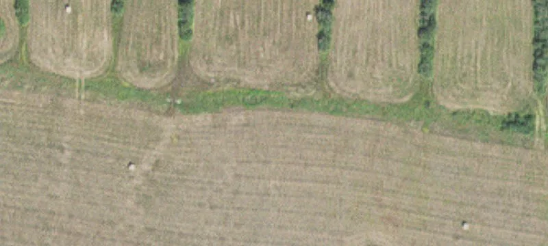 Tamarack, MN 55787