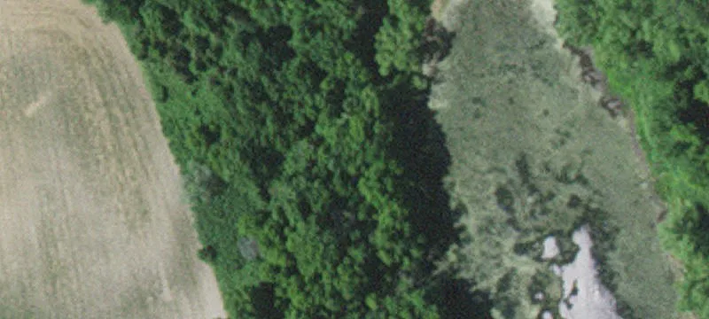 Watkins, MN 55389