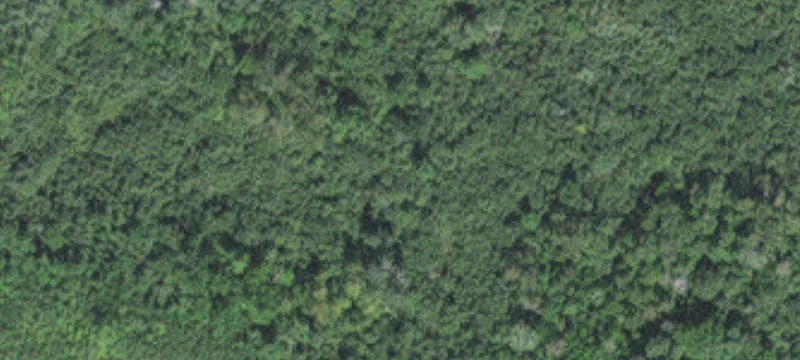 Tamarack, MN 55787