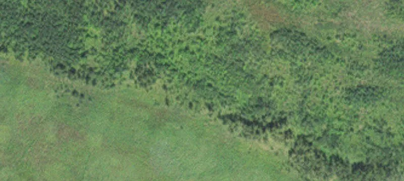 Tamarack, MN 55787