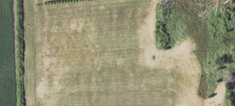 Graceville, MN 56240