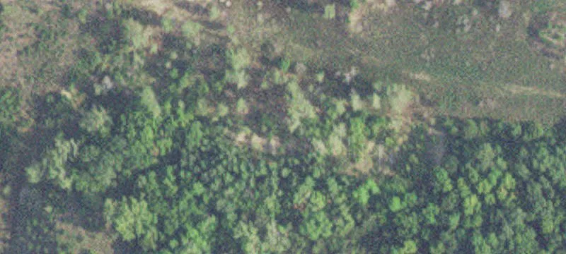 Kasota, MN 56050