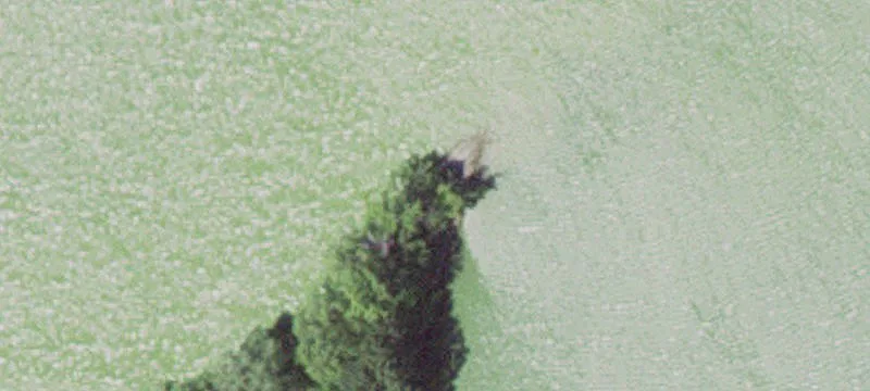 Sherburn, MN 56171