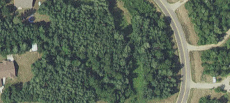 Bemidji, MN 56601