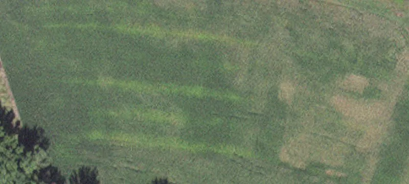 Courtland, MN 56021