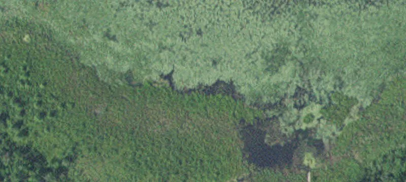 Cass Lake, MN 56633
