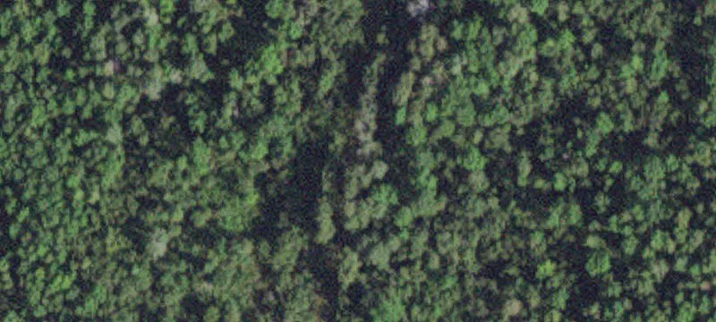 Littlefork, MN 56653