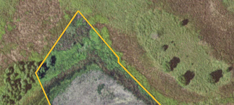 Comfrey, MN 56019