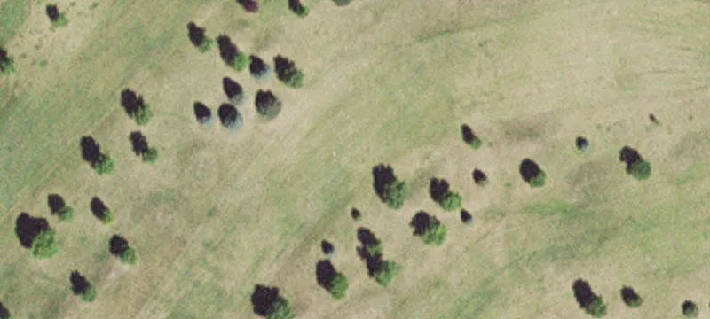 502 Hwy 59