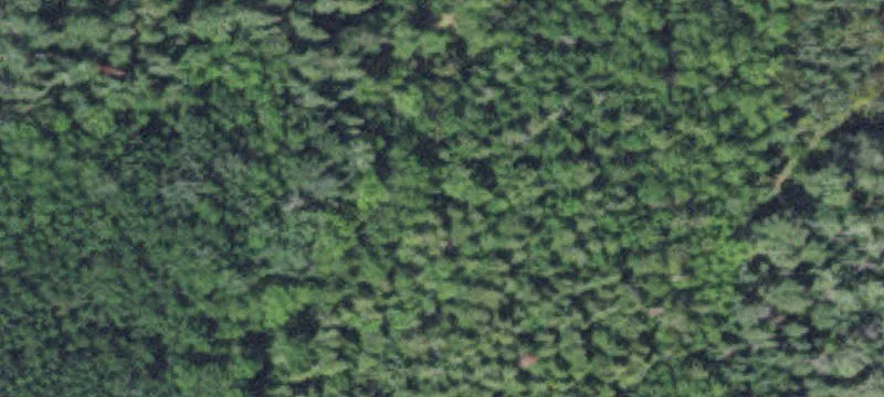 Bigfork, MN 56628
