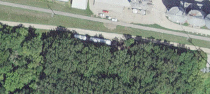 Adams, MN 55909