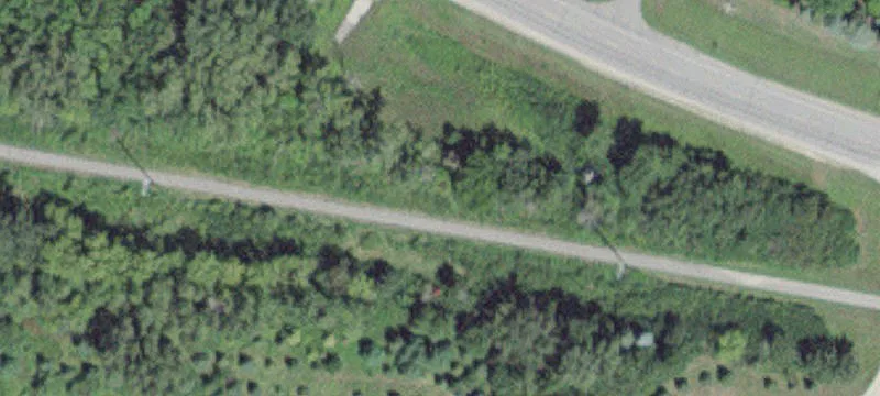 Adams, MN 55909