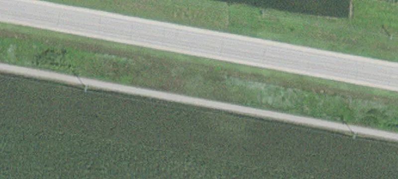 Adams, MN 55909