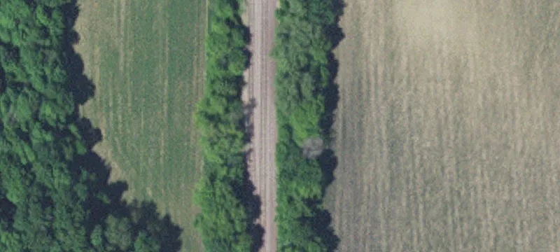 Lanesburgh Township