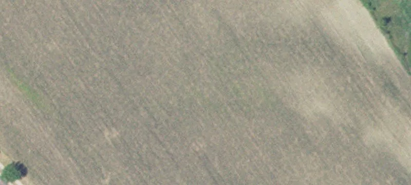 New Ulm, MN 56073