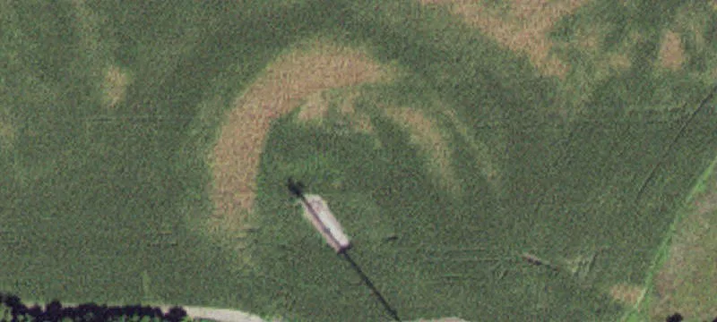 Walnut Grove, MN 56180