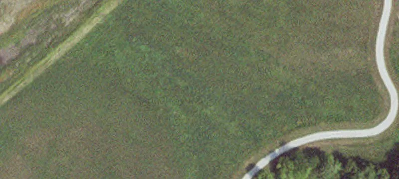 Luverne, MN 56156