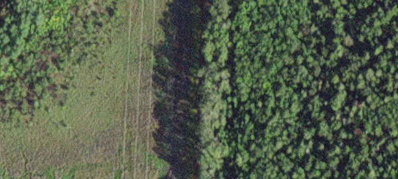 Littlefork, MN 56653