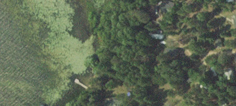 Nevis, MN 56467