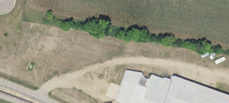 Clarissa, MN 56440