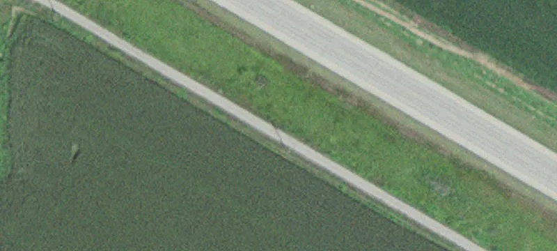 Adams, MN 55909