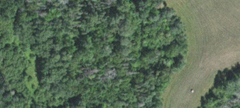 Tamarack, MN 55787