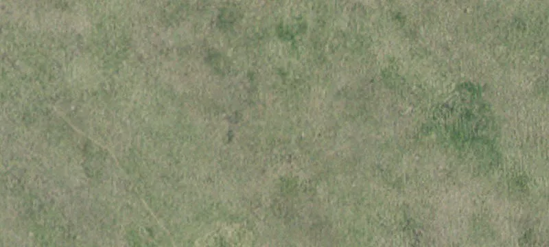 Appleton, MN 56208