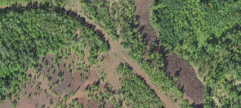 Grand Rapids, MN 55744